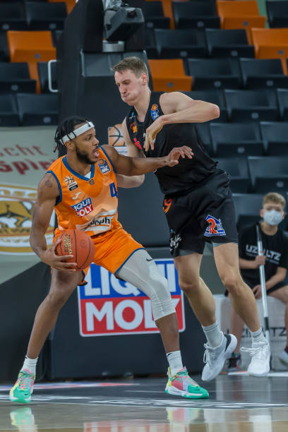 的丰富维度 的丰富维度